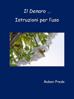 cover image of Il Denaro ... Istruzioni per l'uso
